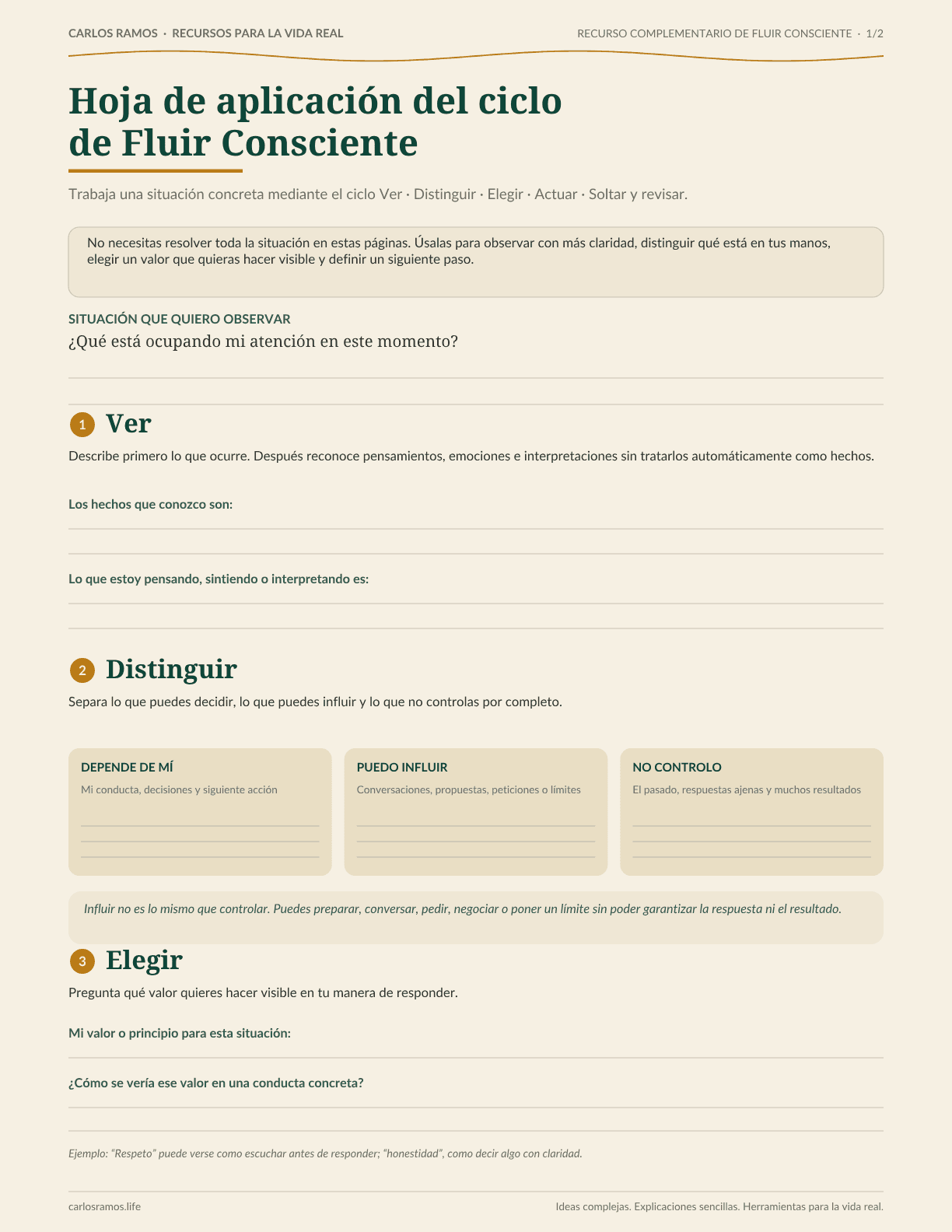 Vista previa auténtica de la Hoja de aplicación del ciclo de Fluir Consciente